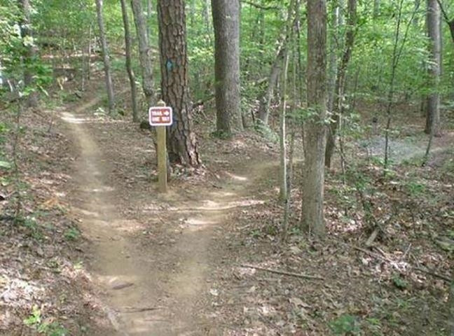 8813 Orchard Grove Way Raleigh, NC 27612 - Photo 25 of 29 Convenient to Umstead State Park