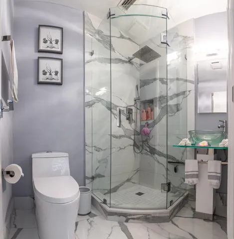a bathroom with a toilet and a shower