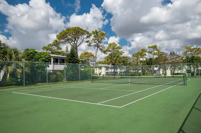 a view of a tennis ground with large trees