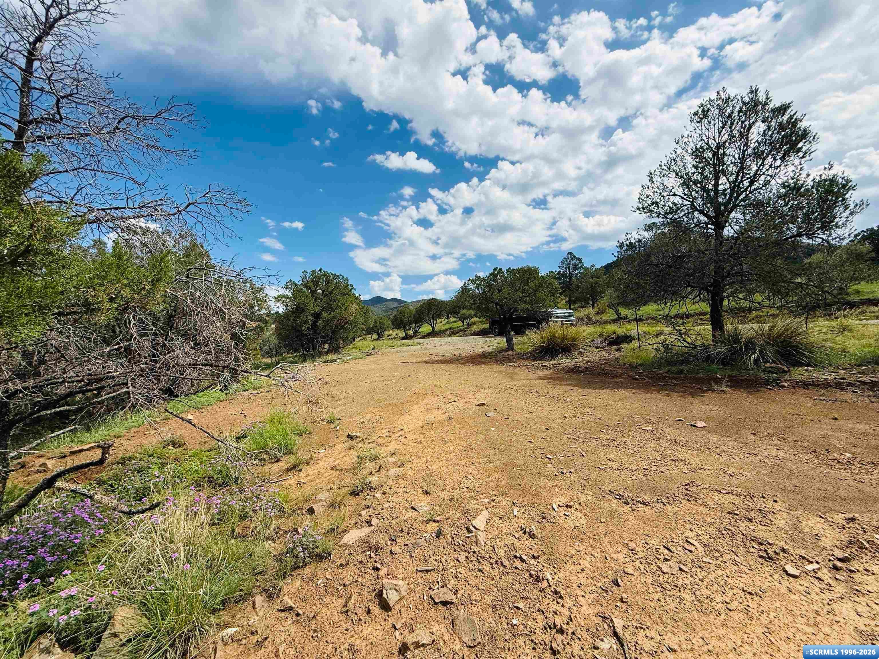 34 Cygnet Road Silver City, NM 88061 - Photo 11 of 11 Gallery Image 11