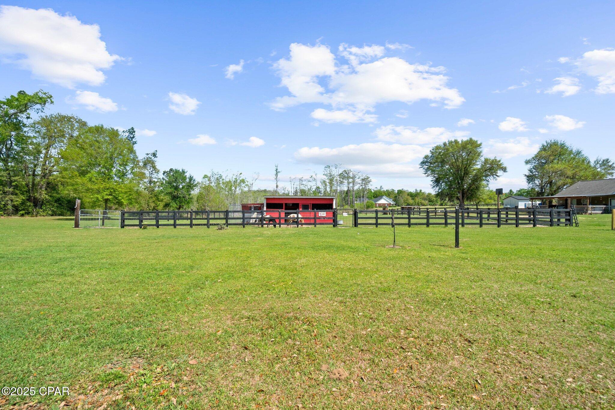 2242 Highway 231 Cottondale, FL 32431 - Photo 11 of 69