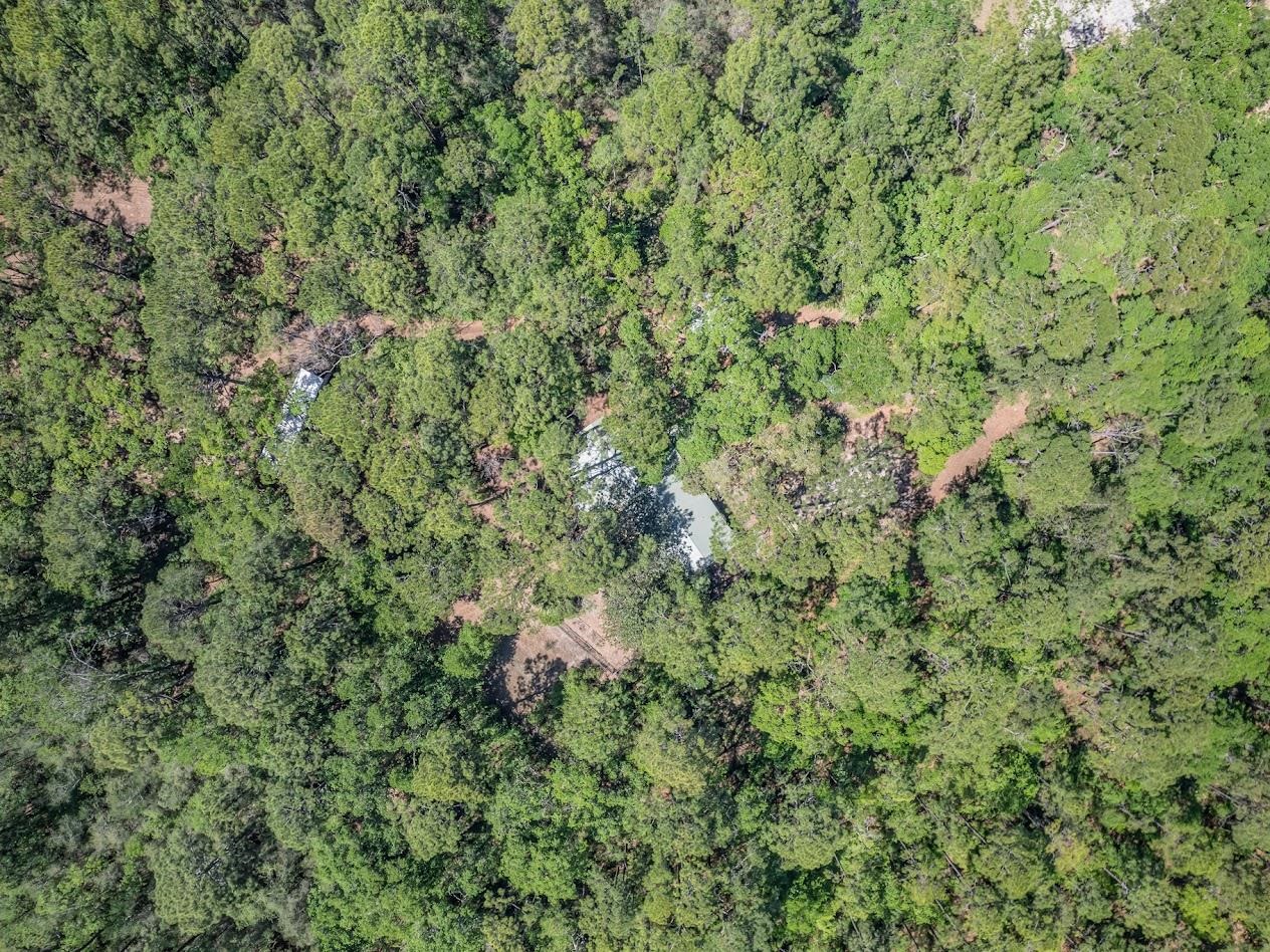 123 Carter Road Crawfordville, FL 32327 - Photo 35 of 39