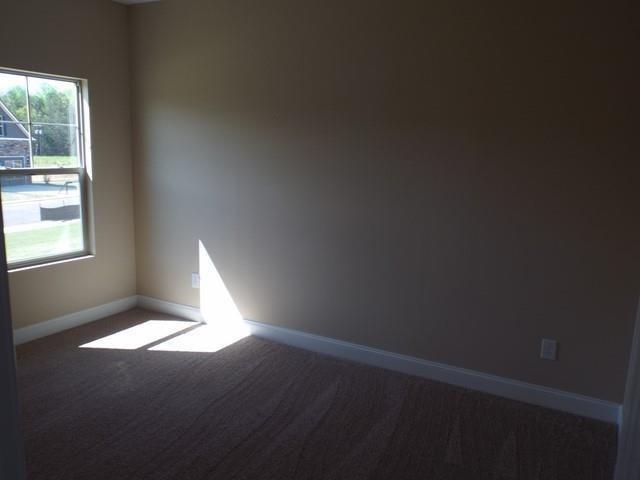 305 Sliding Rock Drive Pendleton, SC 29670 - Photo 8 of 18