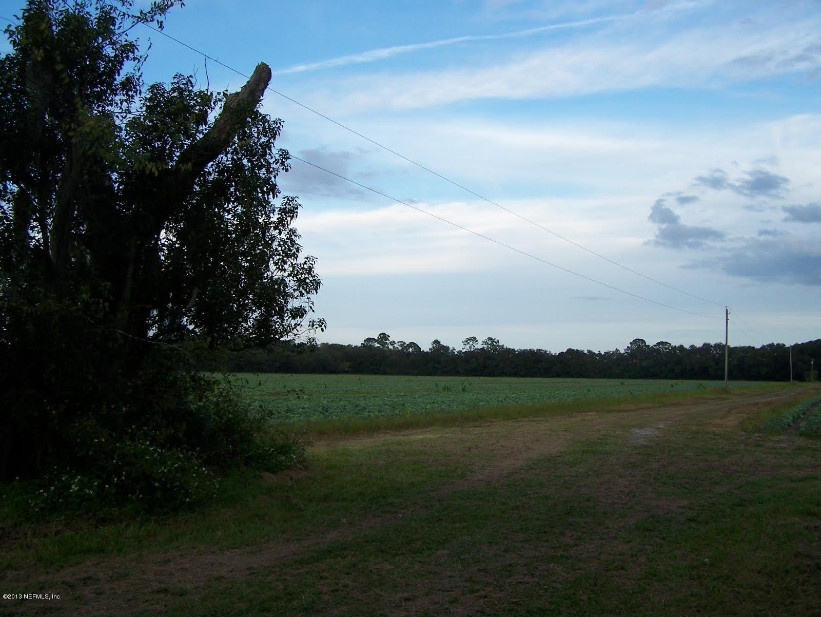 8300 Smith Road Hastings, FL 32145 - Photo 9 of 11 8300 smith road7