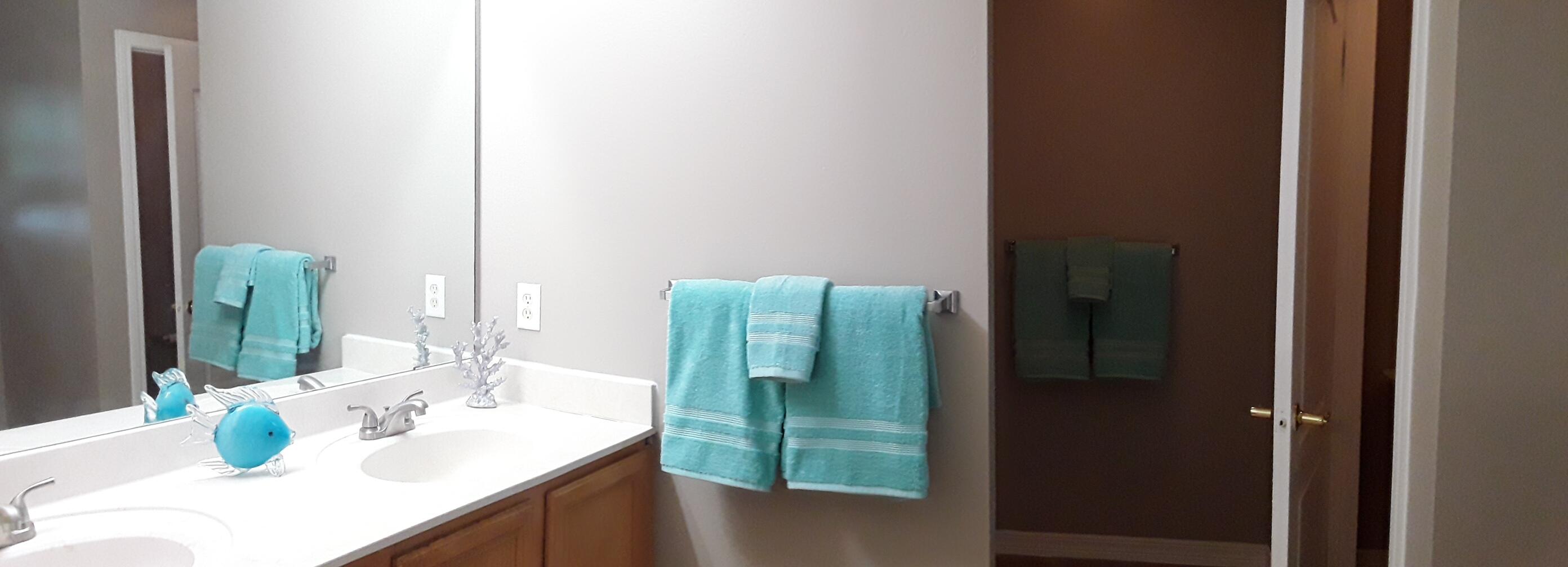 57 Red Bay Court Santa Rosa Beach, FL 32459 - Photo 21 of 55 Master Bath Vanity wide