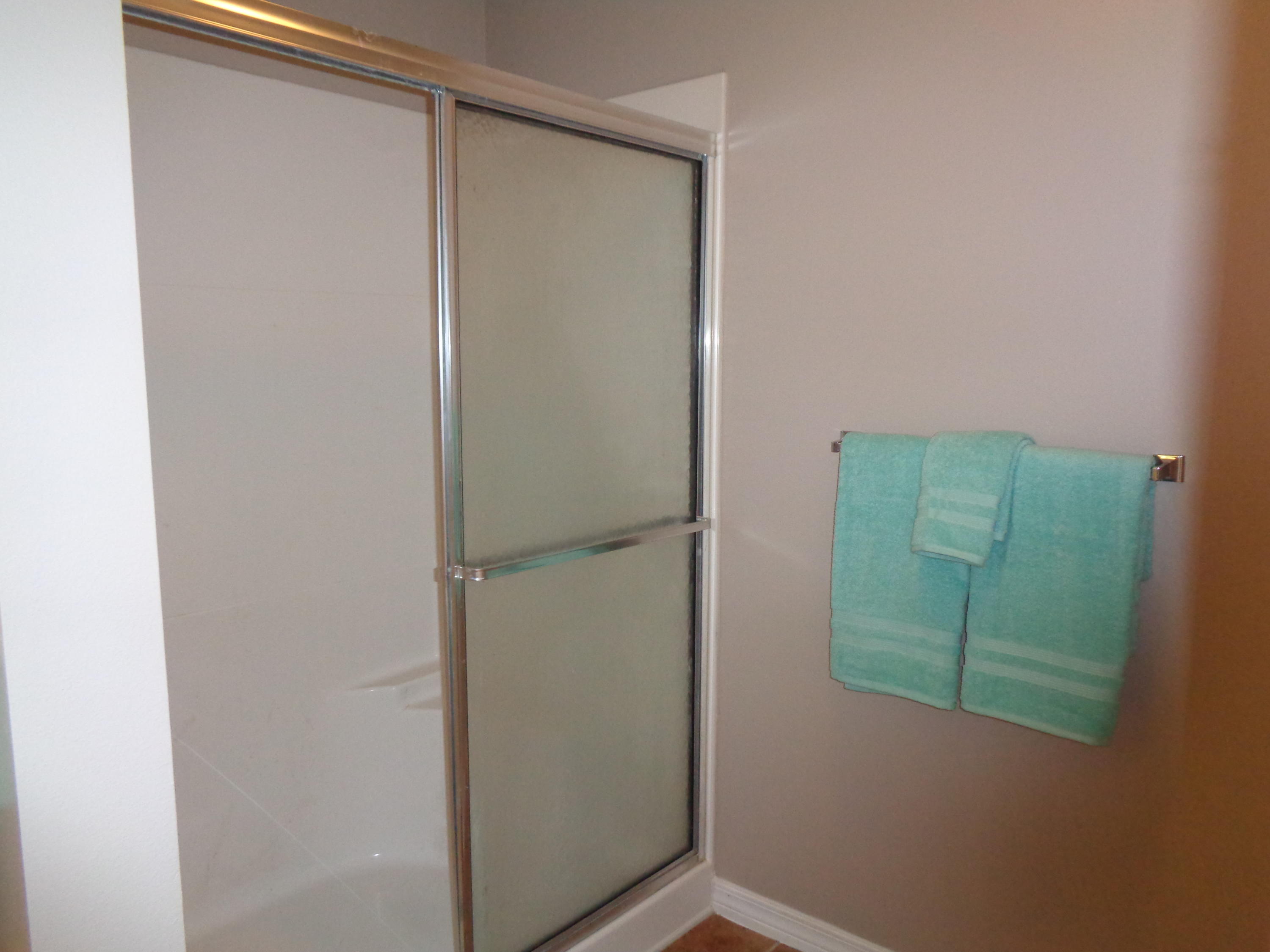 57 Red Bay Court Santa Rosa Beach, FL 32459 - Photo 25 of 55 Master Shower 2