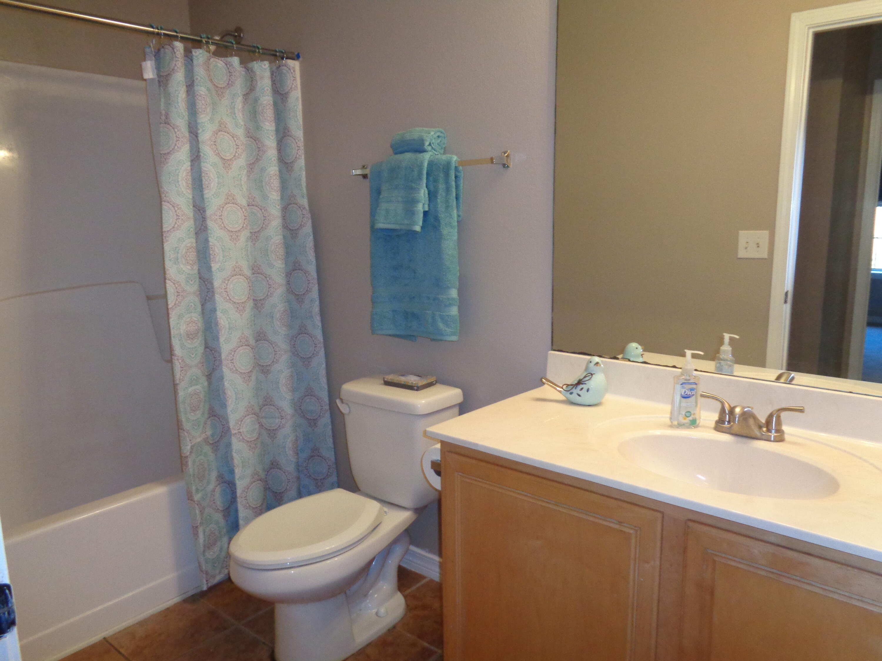 57 Red Bay Court Santa Rosa Beach, FL 32459 - Photo 28 of 55 Guest Bathroom