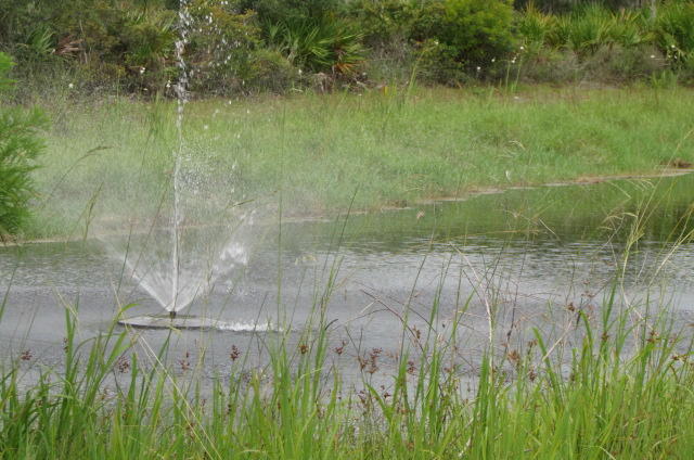 57 Red Bay Court Santa Rosa Beach, FL 32459 - Photo 51 of 55 Fishing Lakes