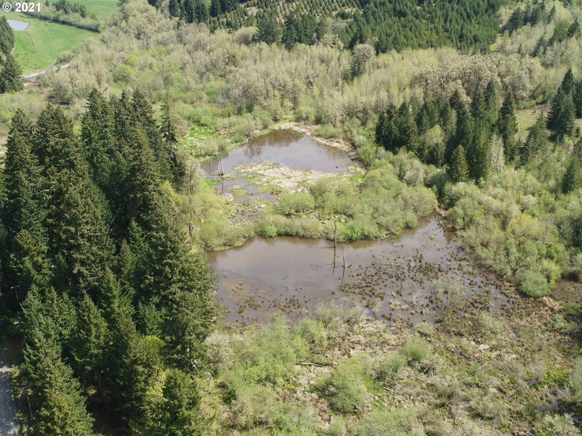 26137 Foster Road Monroe, OR 97456 - Photo 15 of 15 Gallery Image 15
