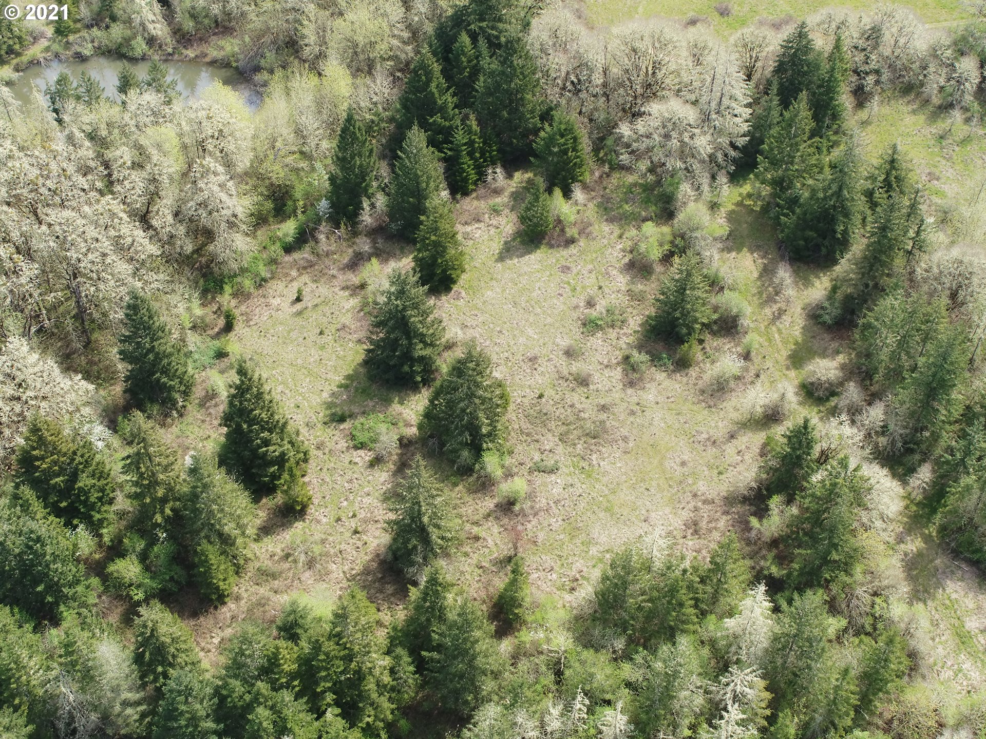 26137 Foster Road Monroe, OR 97456 - Photo 3 of 15 Gallery Image 3