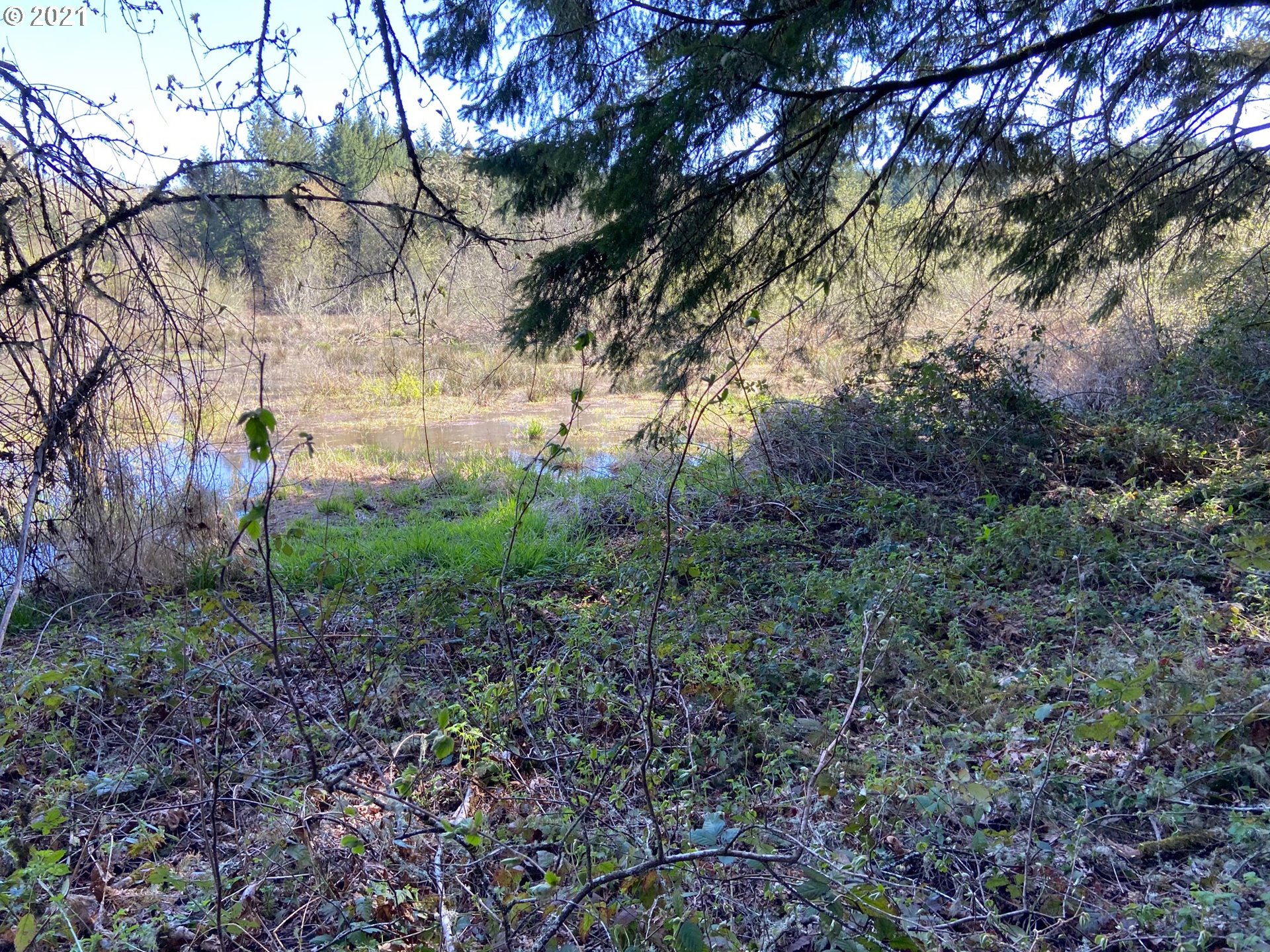 26137 Foster Road Monroe, OR 97456 - Photo 9 of 15 Gallery Image 9