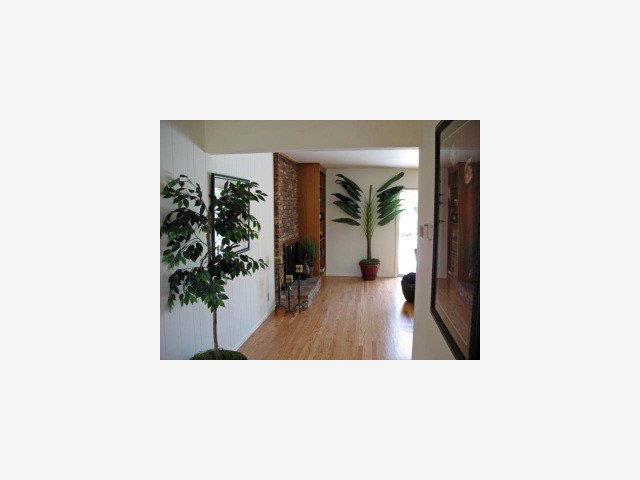 1171 Covington Road Los Altos, CA 94024 - Photo 7 of 9 a open living room with a large window and potted plants