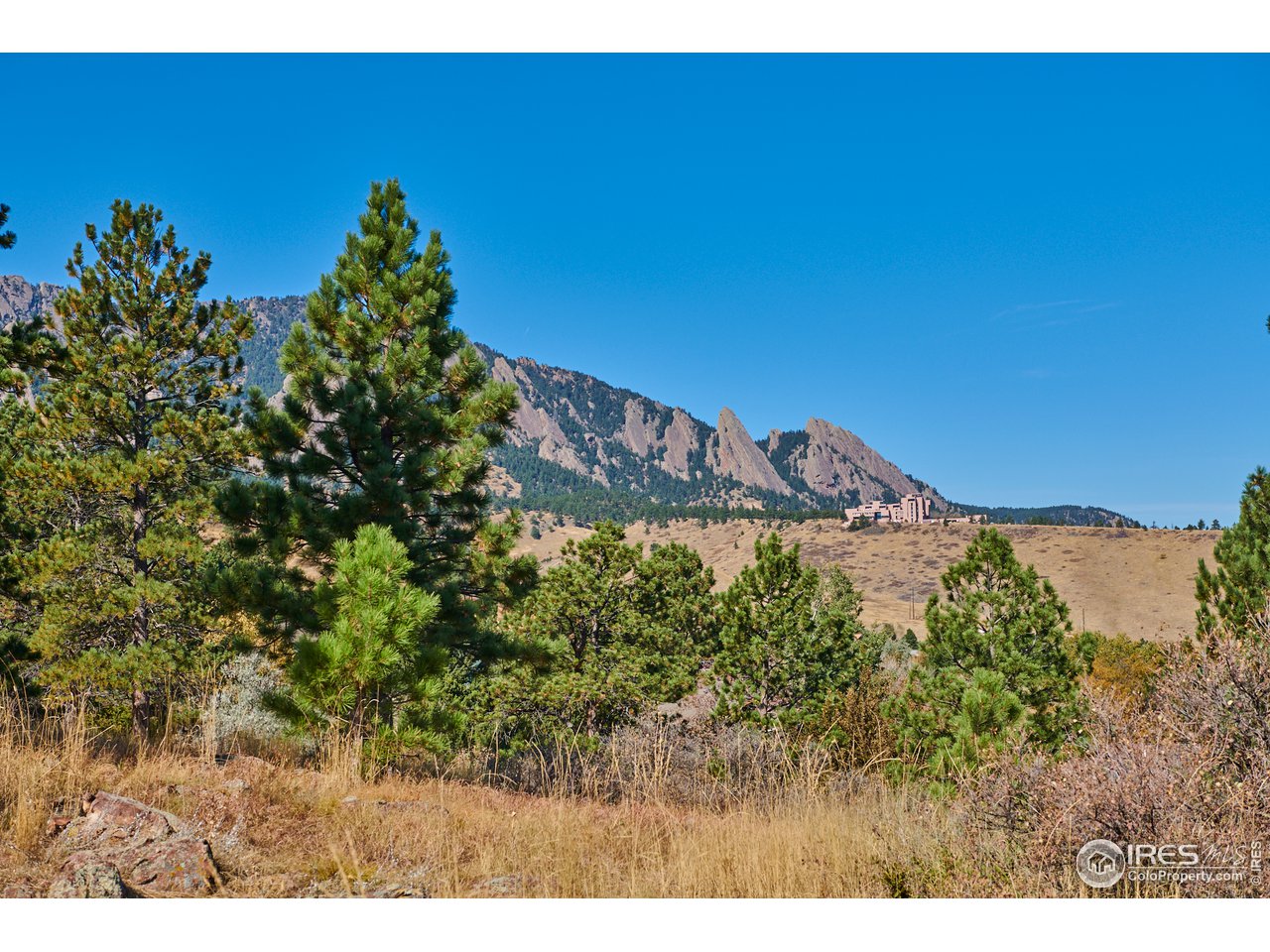 2877 Tincup Circle Boulder, CO 80305 - Photo 37 of 38 a view of a yard