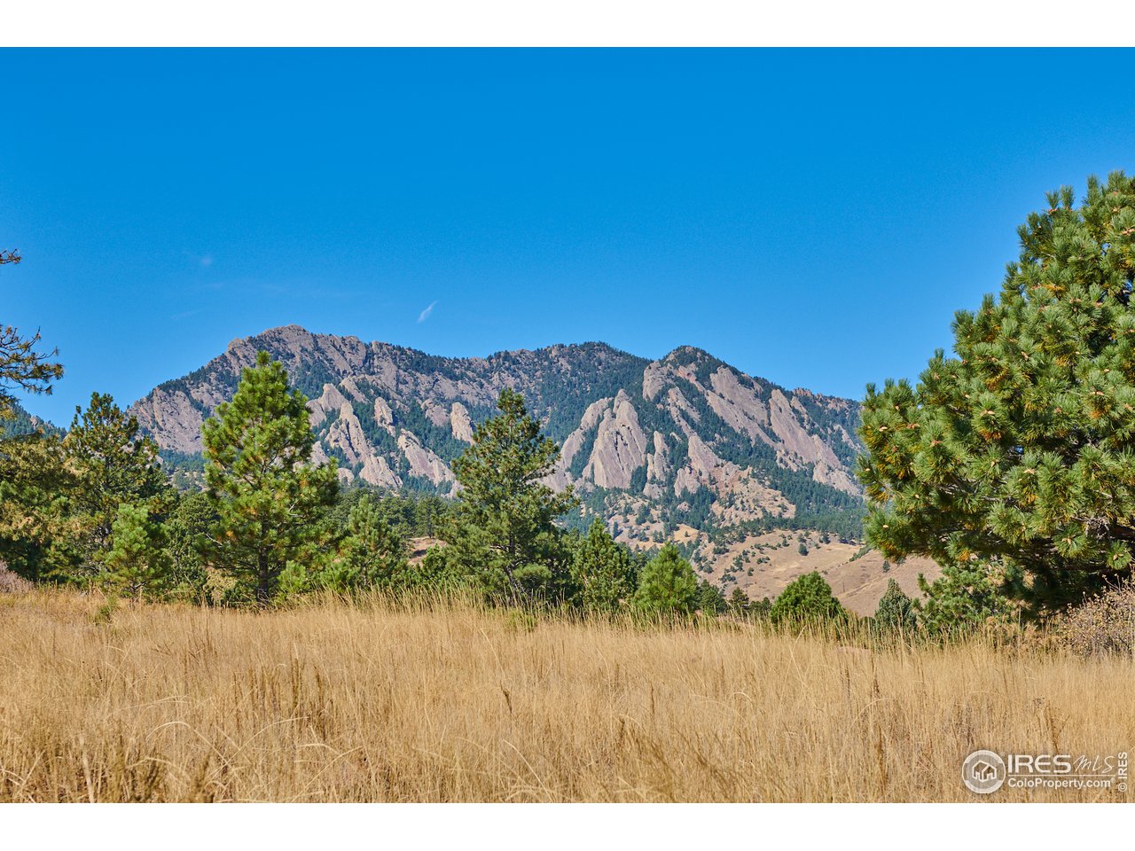 2877 Tincup Circle Boulder, CO 80305 - Photo 38 of 38 a view of a yard