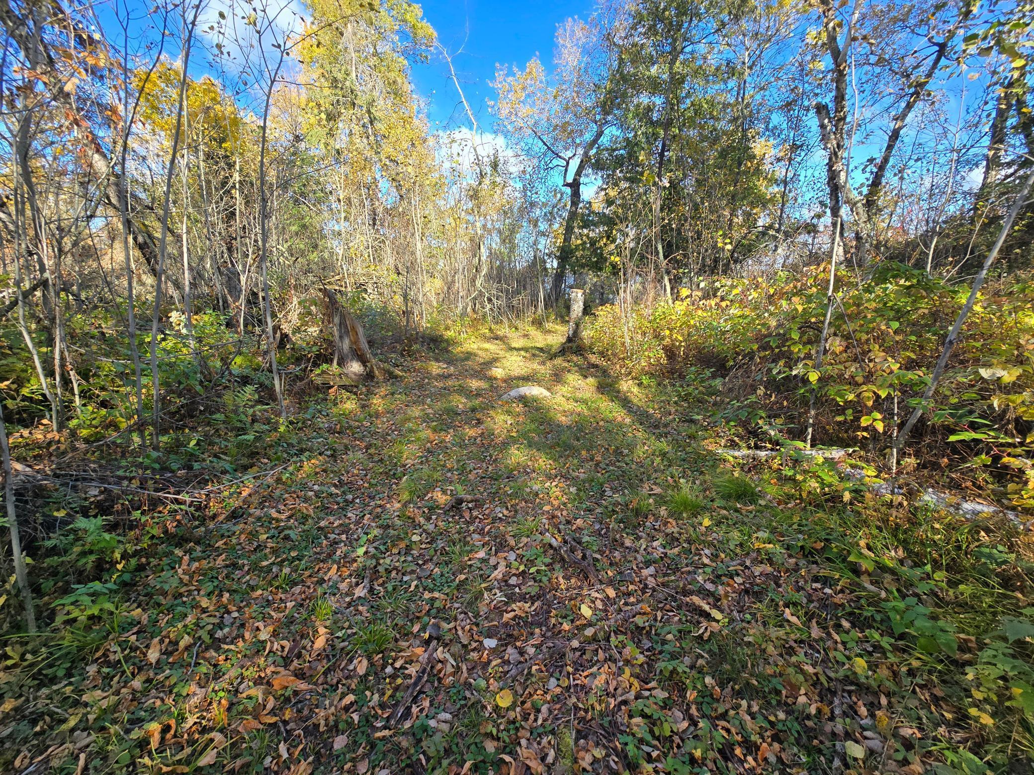 8 Brush Island Angle Inlet, MN 56711 - Photo 20 of 23