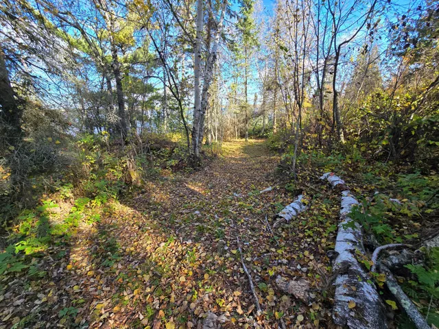 $139,000 | 8 Brush Island, Angle Inlet, MN 56711