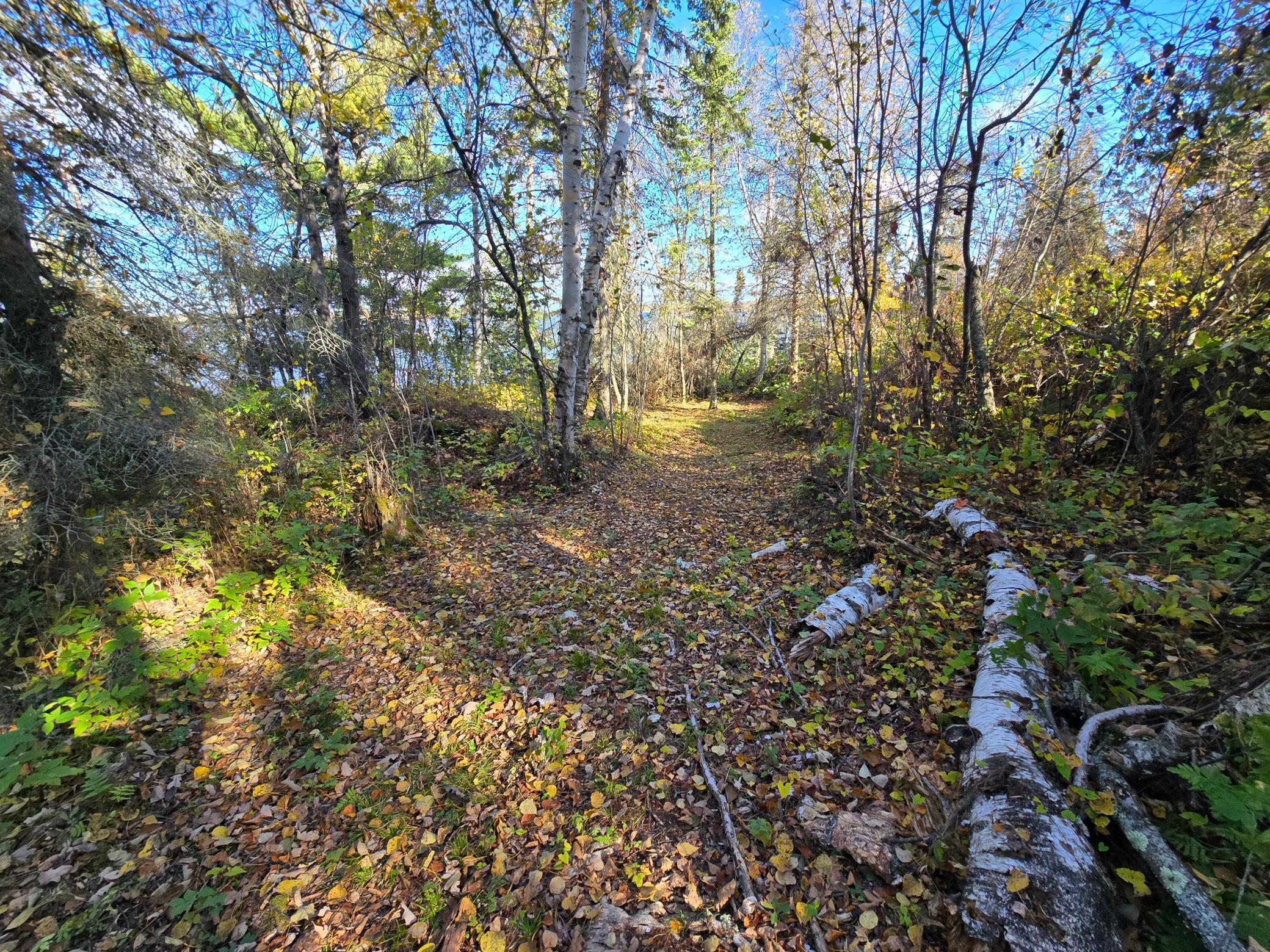8 Brush Island Angle Inlet, MN 56711 - Photo 21 of 23