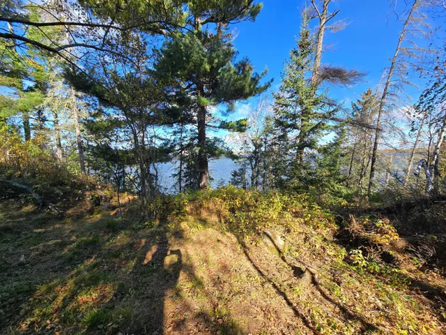 $139,000 | 8 Brush Island, Angle Inlet, MN 56711
