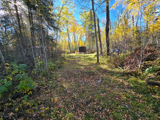 $139,000 | 8 Brush Island, Angle Inlet, MN 56711