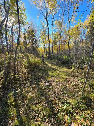 $139,000 | 8 Brush Island, Angle Inlet, MN 56711