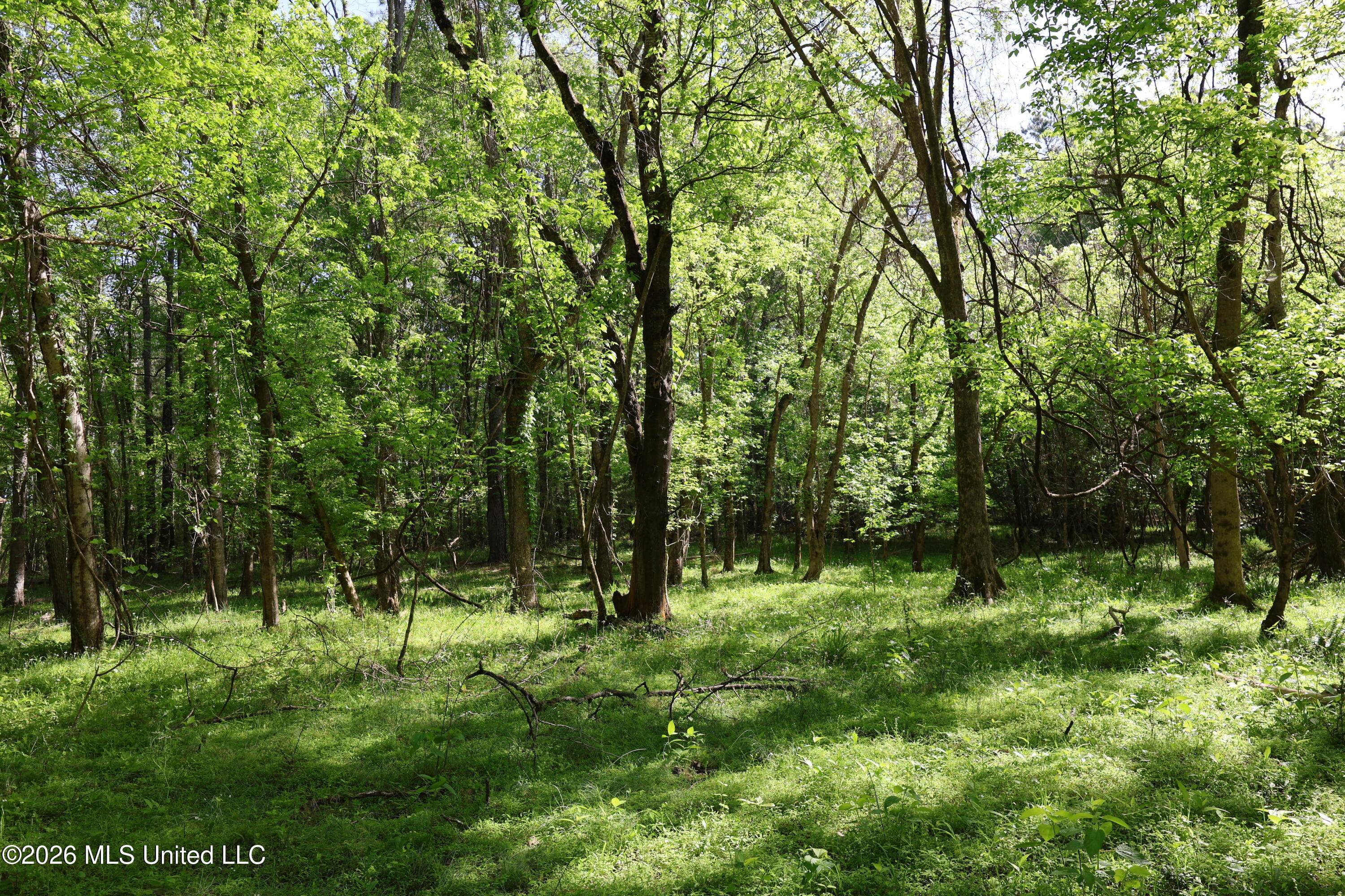 1060 Pearline Bailey Rd Port Port Gibson, MS 39150 - Photo 42 of 63 A39C651F-2F1A-4B76-815D-16DF8D6F0E23