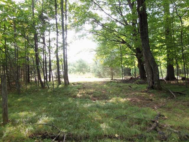 2499 Martha Lake Road Mercer, WI 54547 - Photo 8 of 16 Gallery Image 8