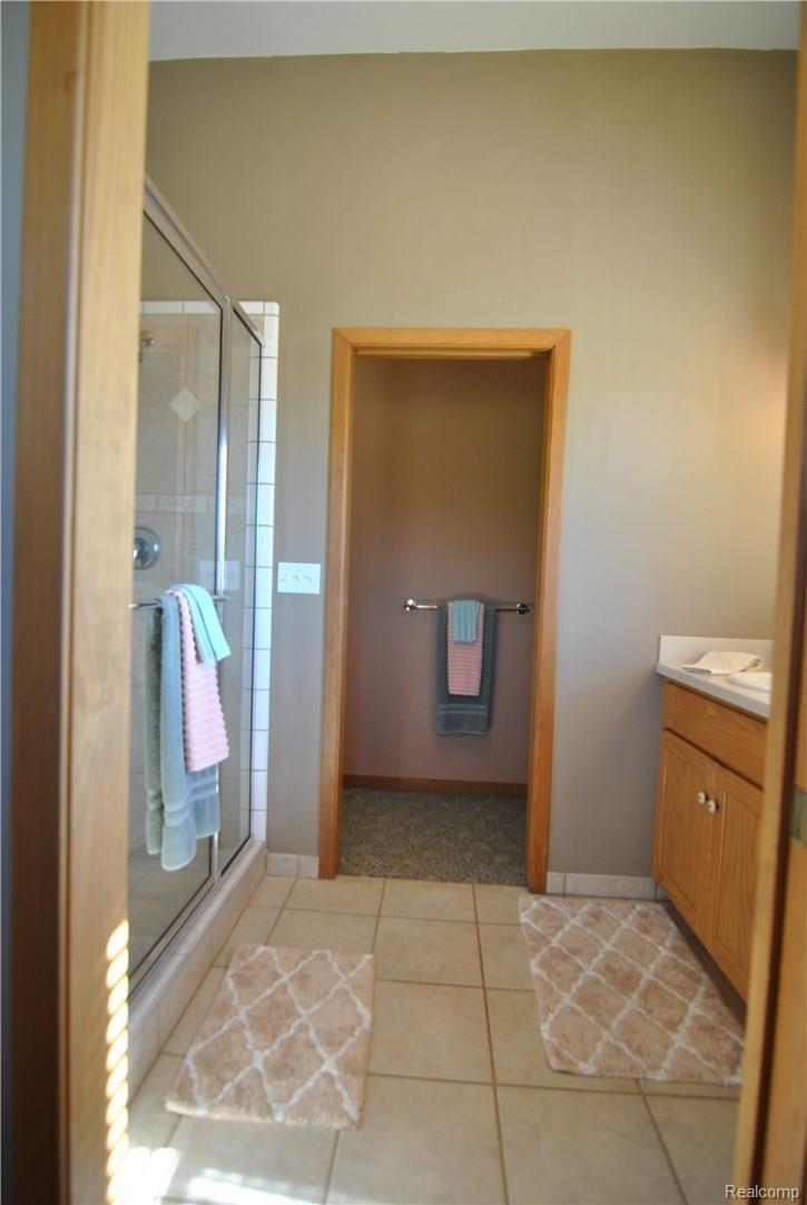 2497 East Clyde Road Howell, MI 48855 - Photo 60 of 95 Mstr Bath S.JPG