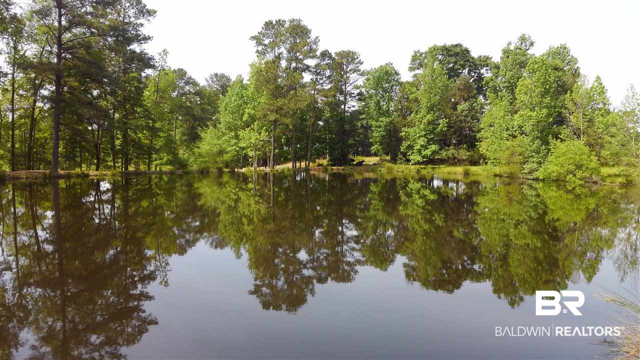 298 A A Bodiford Road Castleberry, AL 36432 - Photo 28 of 29