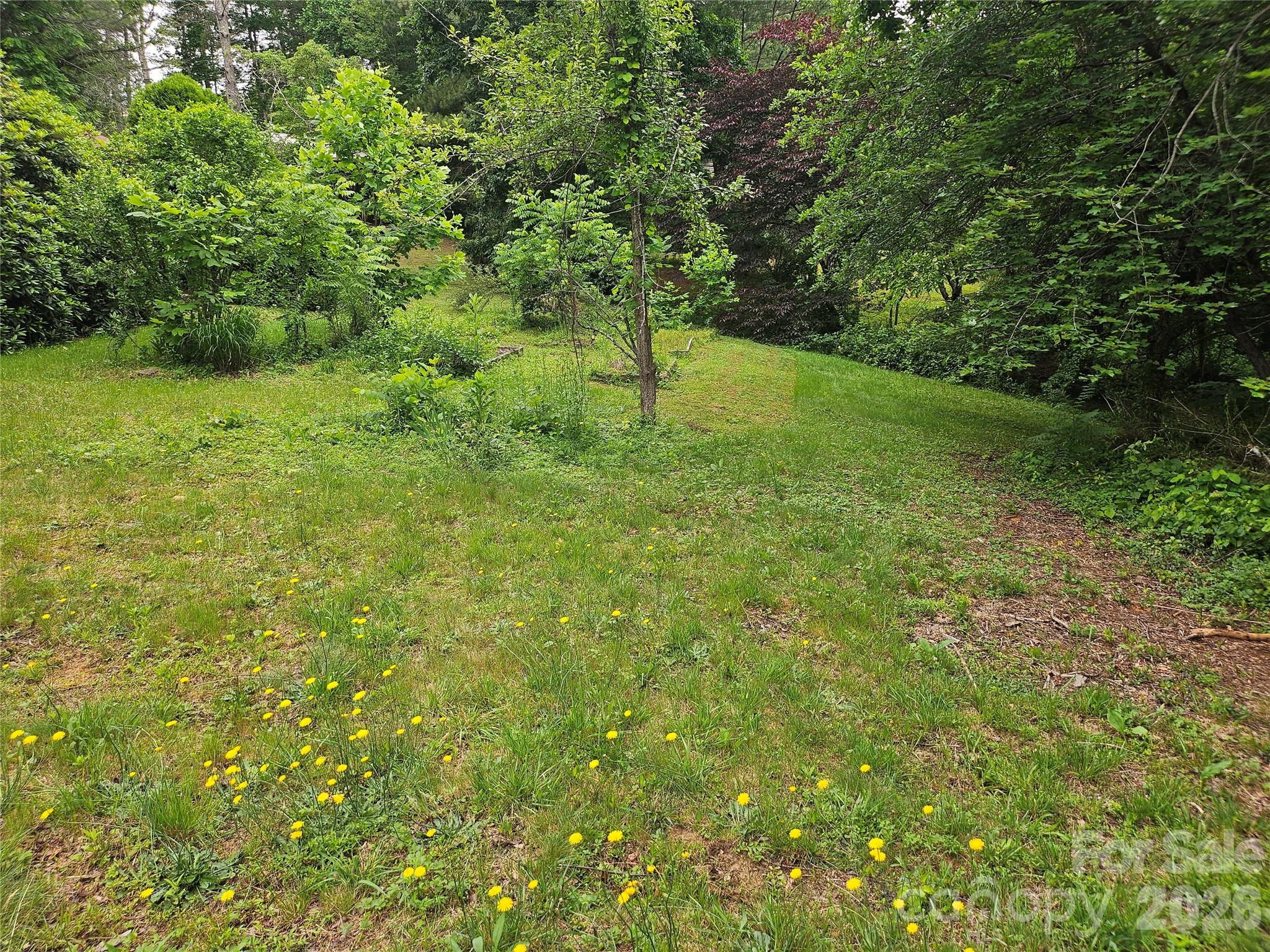 610 Emmas Grove Road Fletcher, NC 28732 - Photo 2 of 24