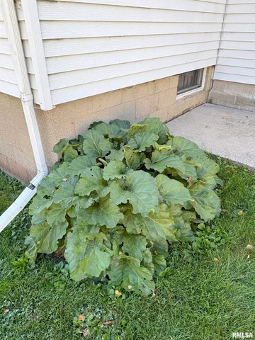 $185,000 | 1003 Walnut Street, Washington, IL 61571