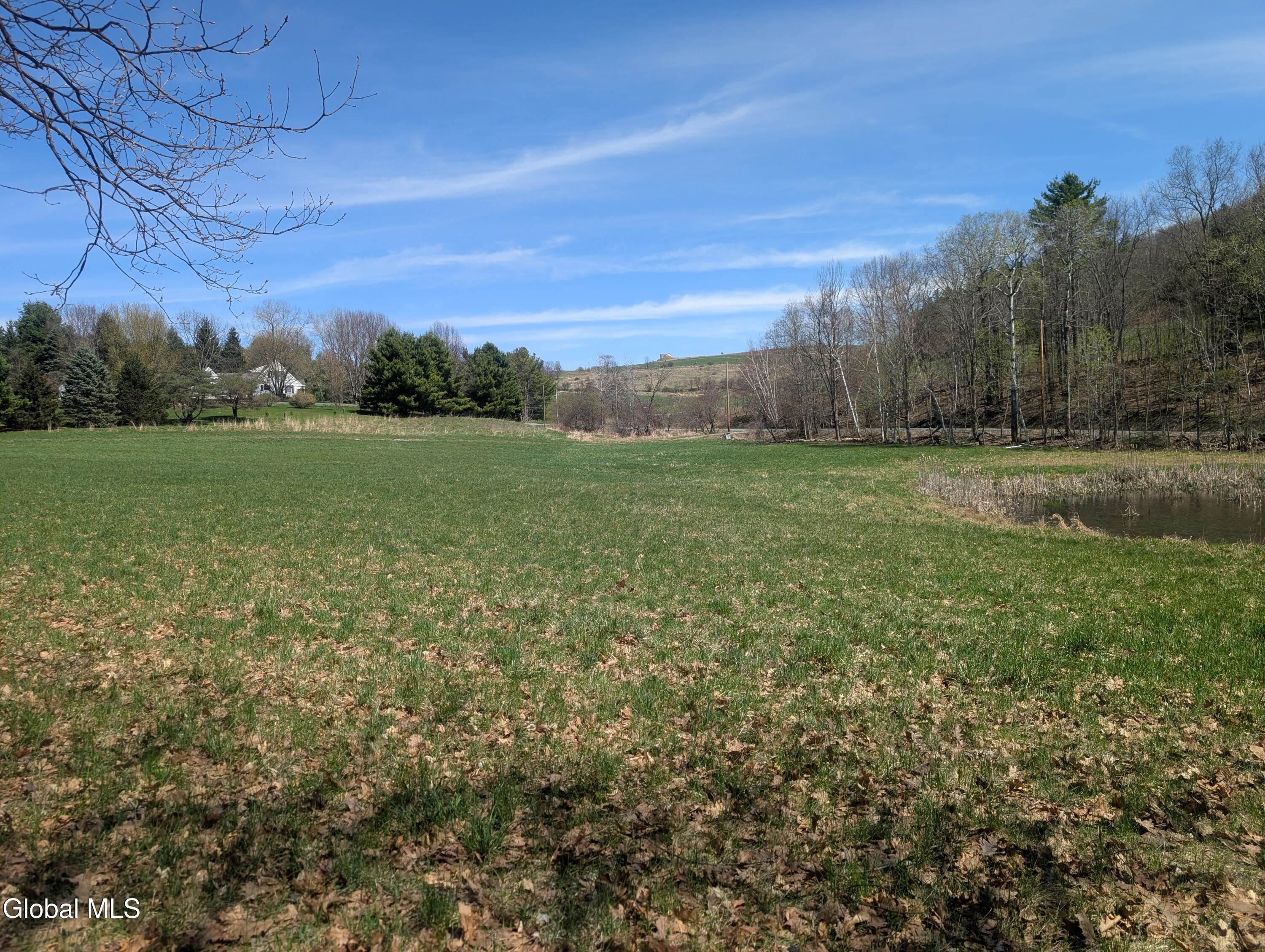 83 Mitchell Road Hoosick, NY 12090 - Photo 10 of 16 1000018048