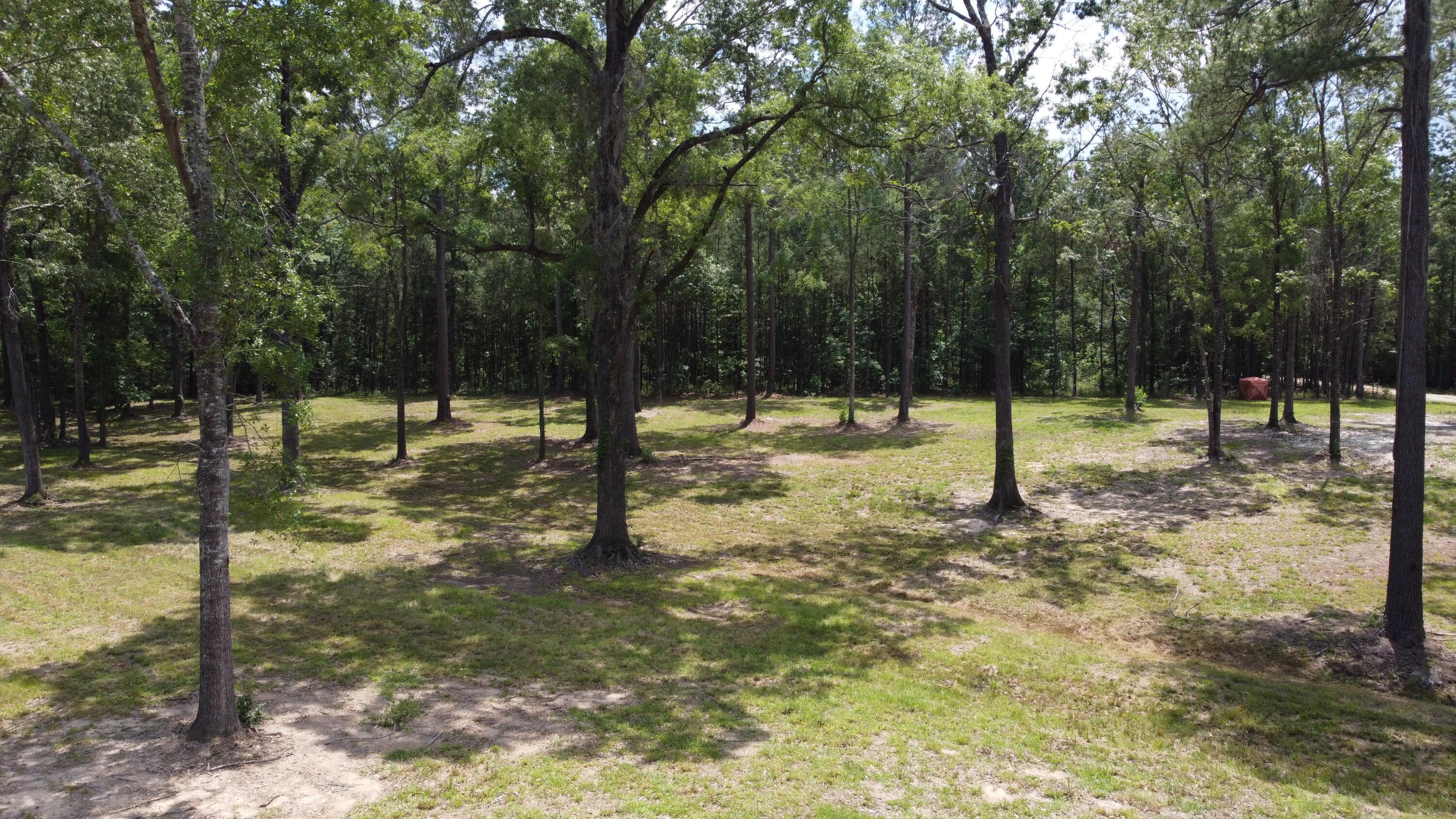 474 River Bluff Trail St. Stephen, SC 29479 - Photo 12 of 22 DJI_0420