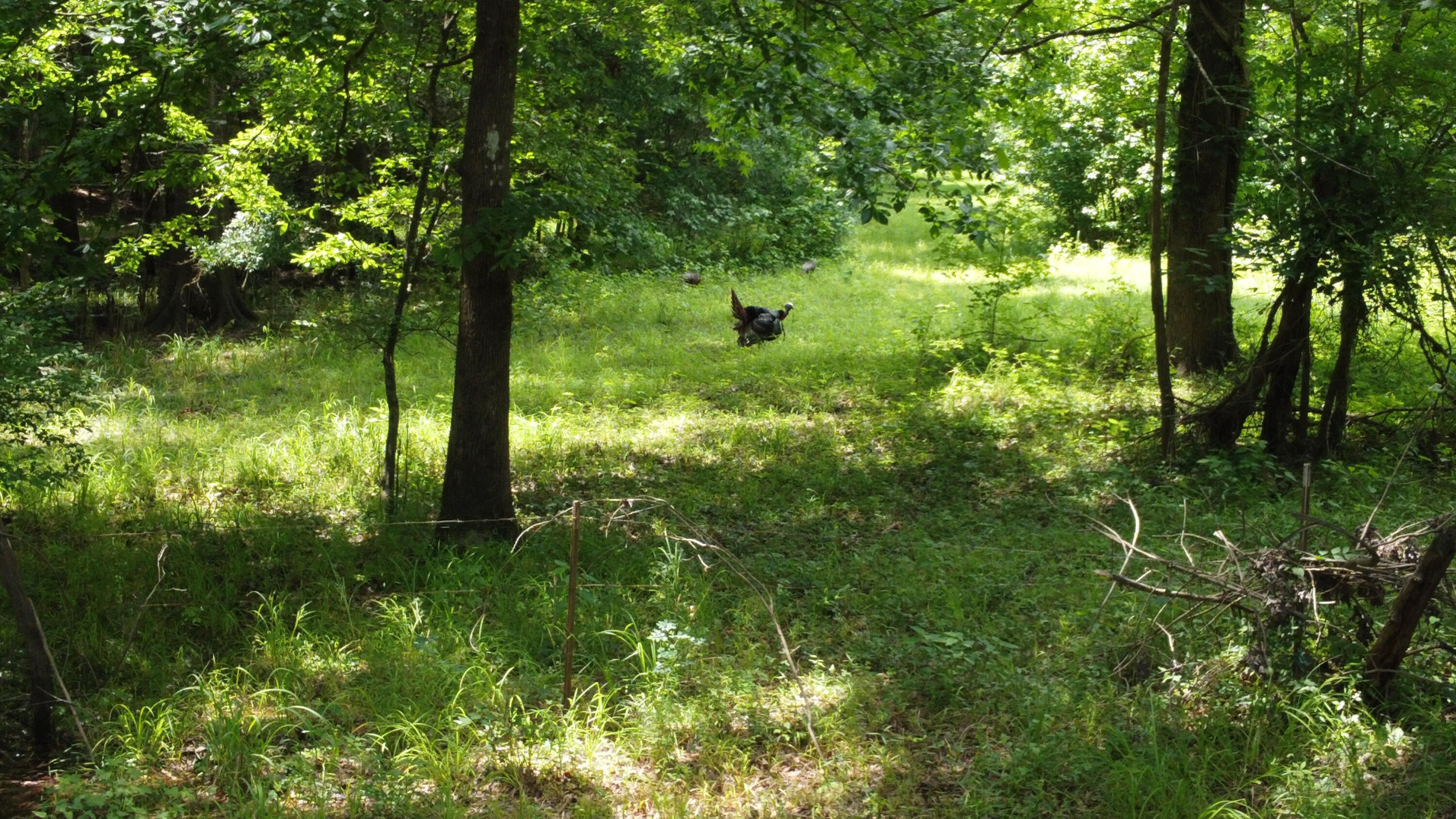 474 River Bluff Trail St. Stephen, SC 29479 - Photo 16 of 22 DJI_0437