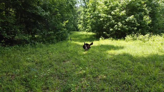 $345,000 | 474 River Bluff Trail, St. Stephen, SC 29479