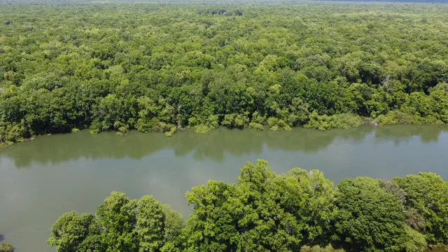 $345,000 | 474 River Bluff Trail, St. Stephen, SC 29479