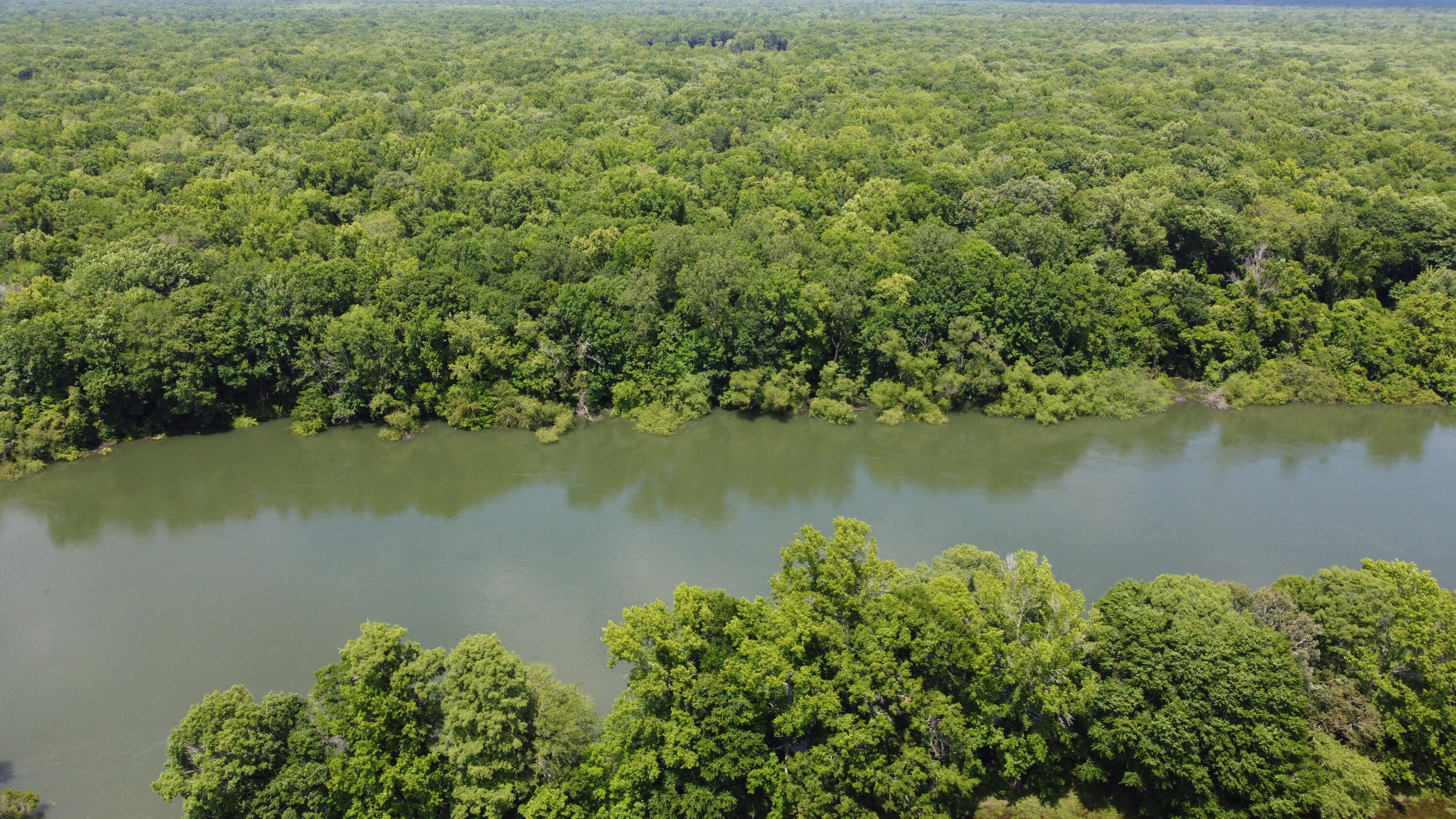474 River Bluff Trail St. Stephen, SC 29479 - Photo 20 of 22 DJI_0451