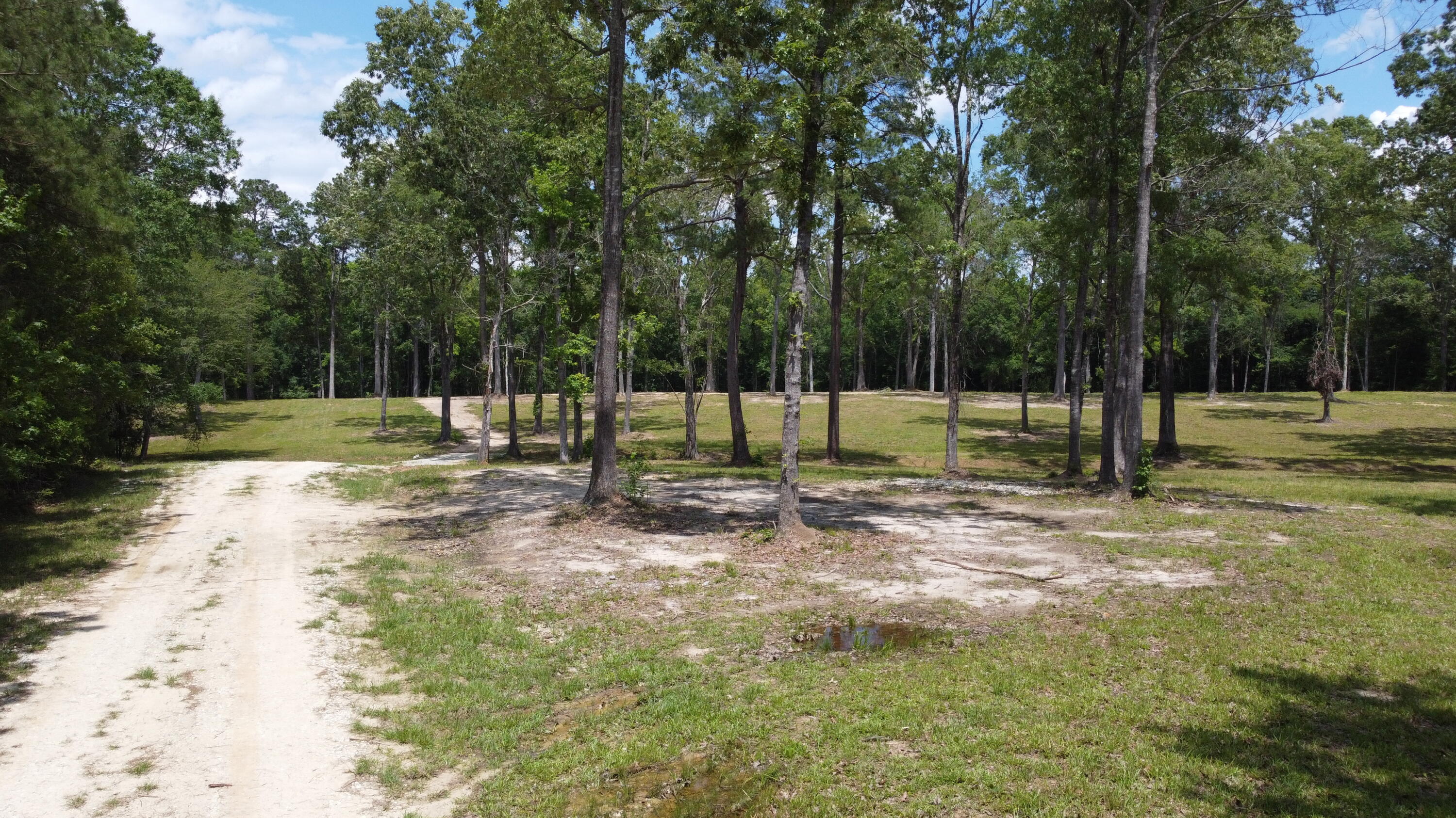 474 River Bluff Trail St. Stephen, SC 29479 - Photo 2 of 22 DJI_0405