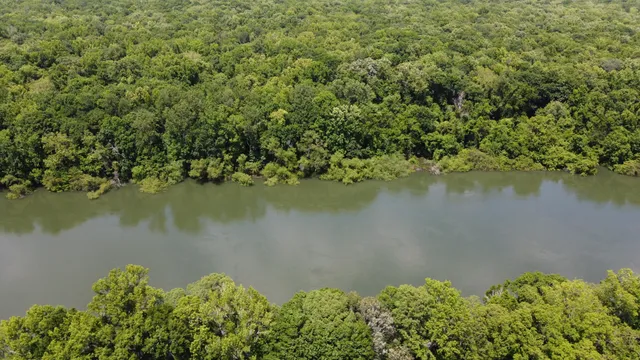 $345,000 | 474 River Bluff Trail, St. Stephen, SC 29479