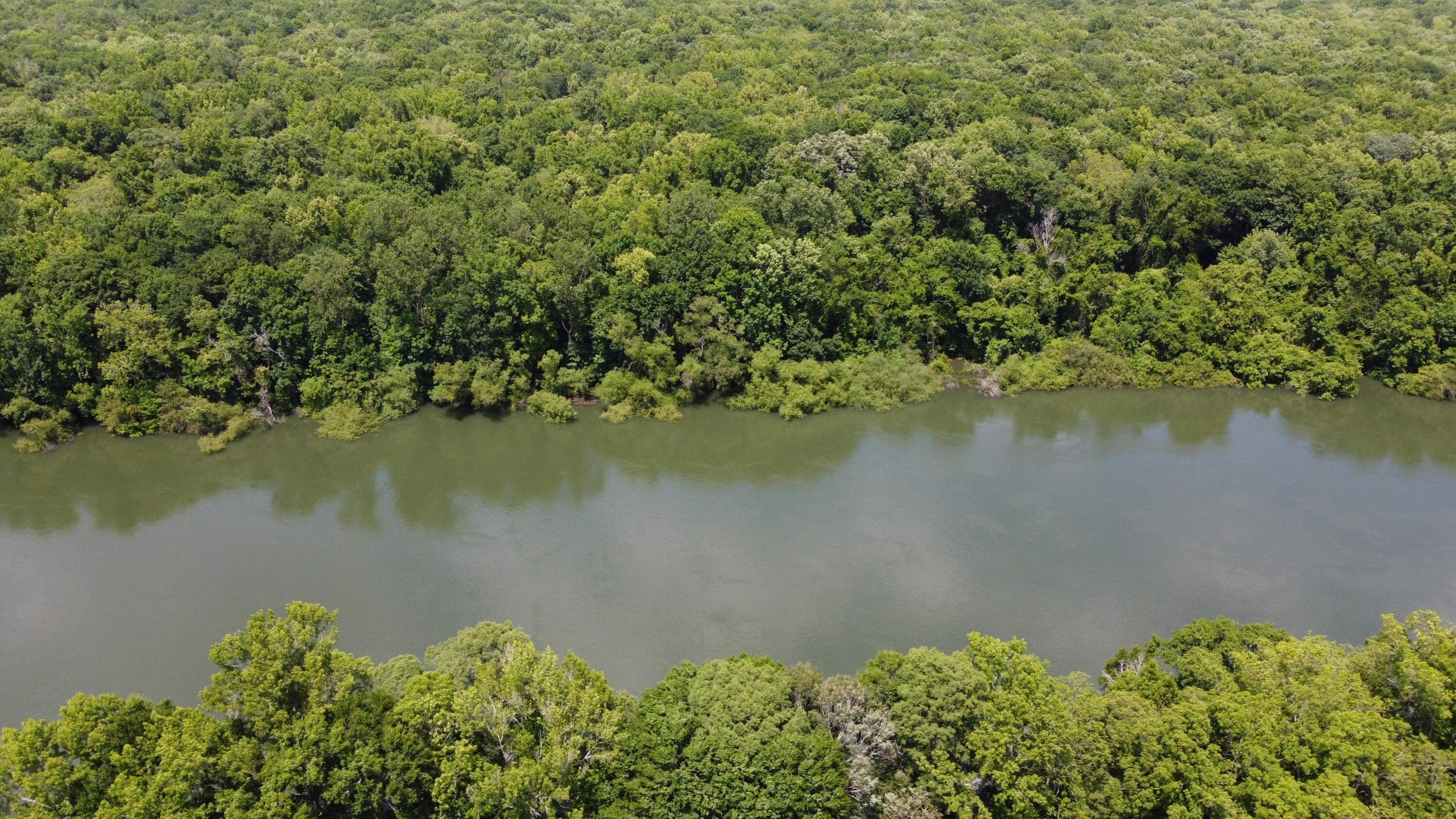 474 River Bluff Trail St. Stephen, SC 29479 - Photo 22 of 22 DJI_0453