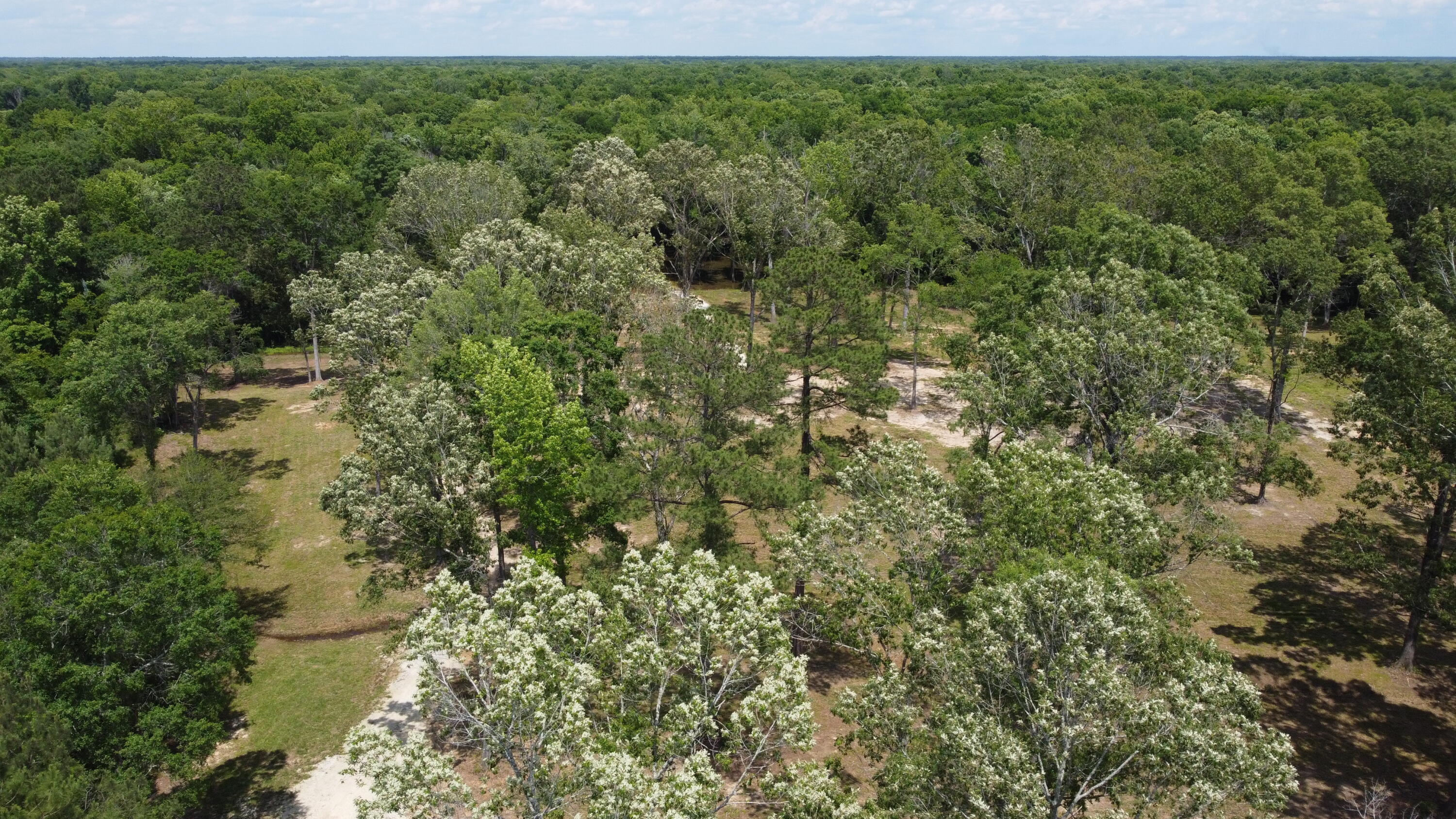 474 River Bluff Trail St. Stephen, SC 29479 - Photo 3 of 22 DJI_0406