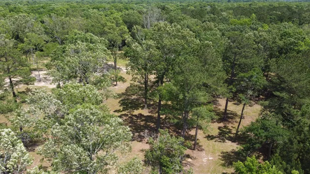 $345,000 | 474 River Bluff Trail, St. Stephen, SC 29479