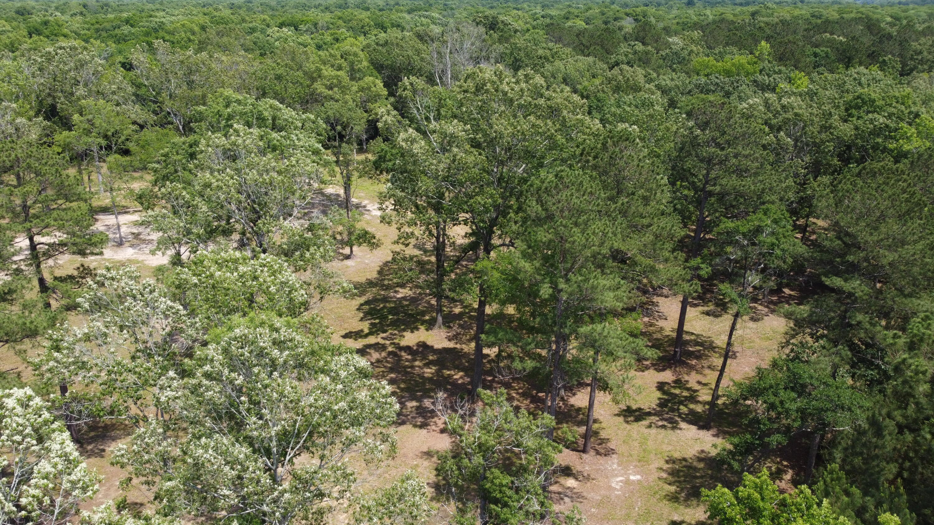 474 River Bluff Trail St. Stephen, SC 29479 - Photo 4 of 22 DJI_0407