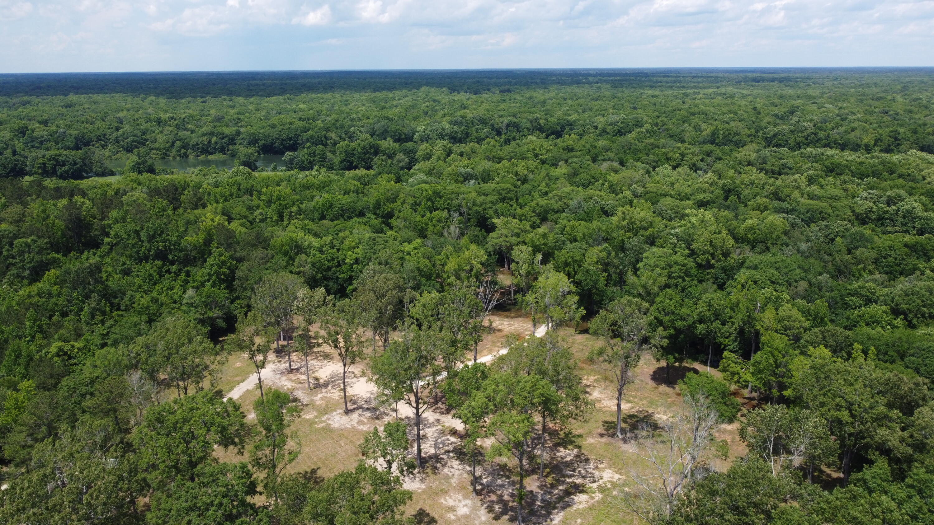 474 River Bluff Trail St. Stephen, SC 29479 - Photo 7 of 22 DJI_0413