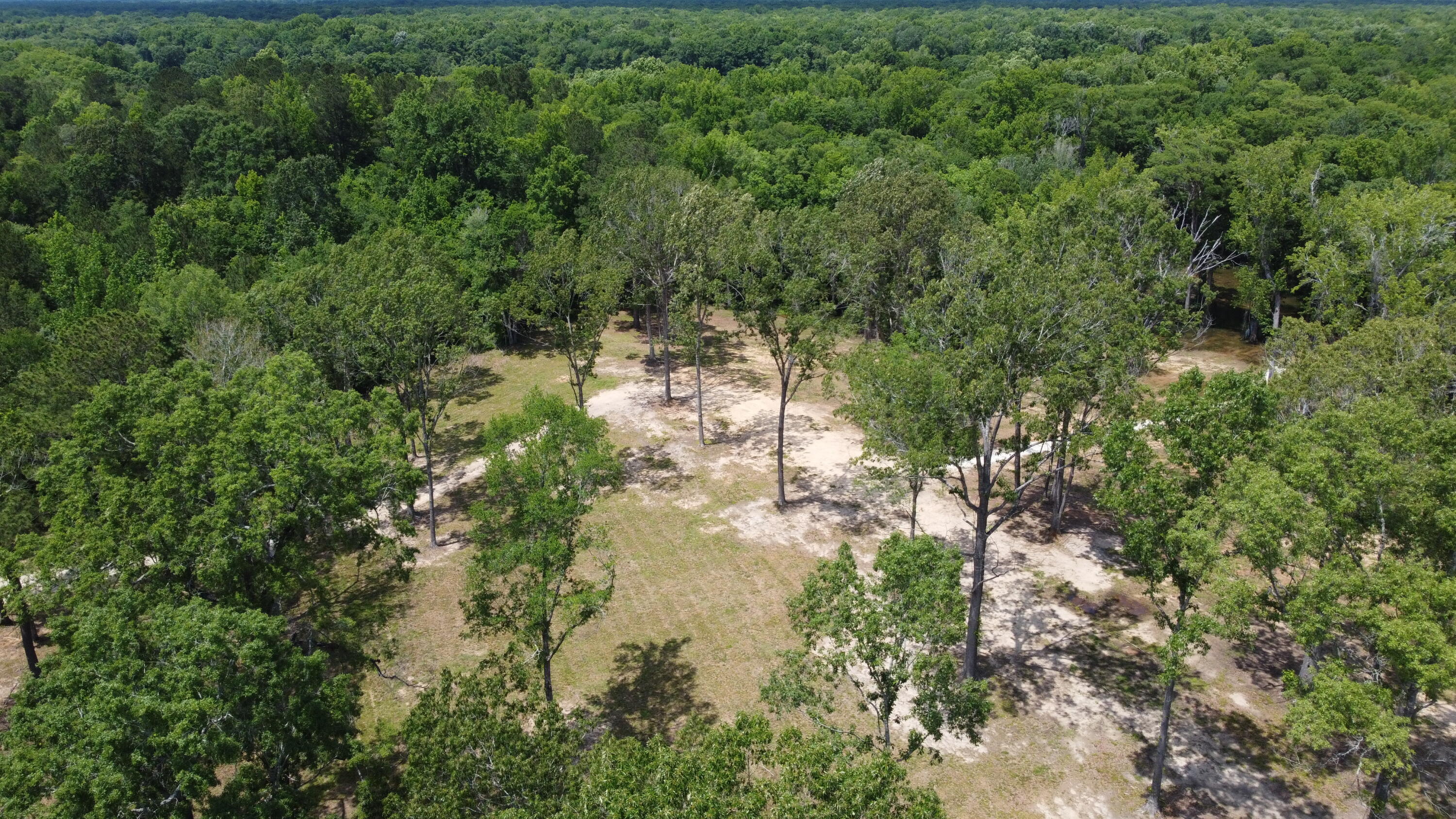 474 River Bluff Trail St. Stephen, SC 29479 - Photo 8 of 22 DJI_0414