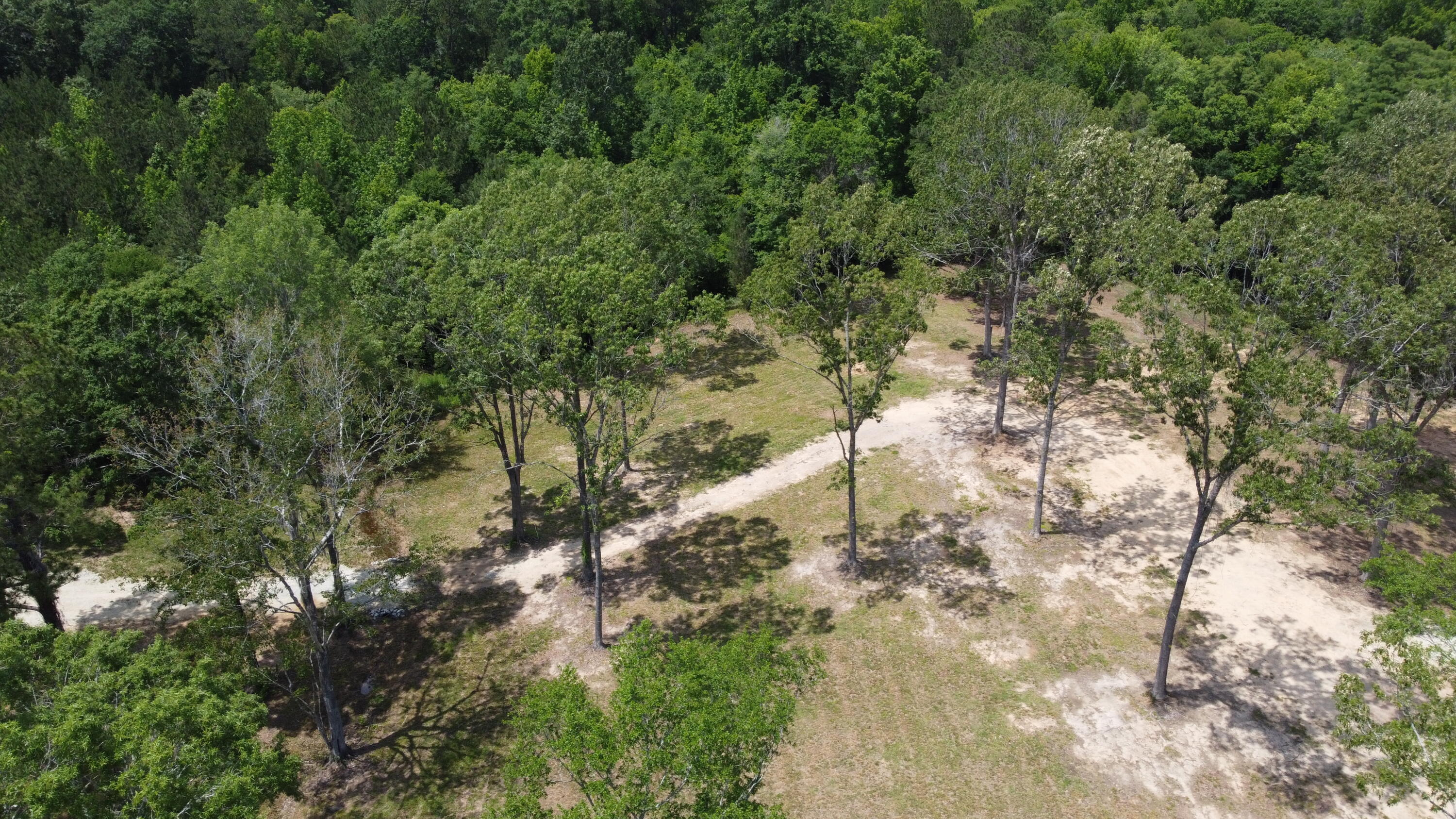 474 River Bluff Trail St. Stephen, SC 29479 - Photo 9 of 22 DJI_0415