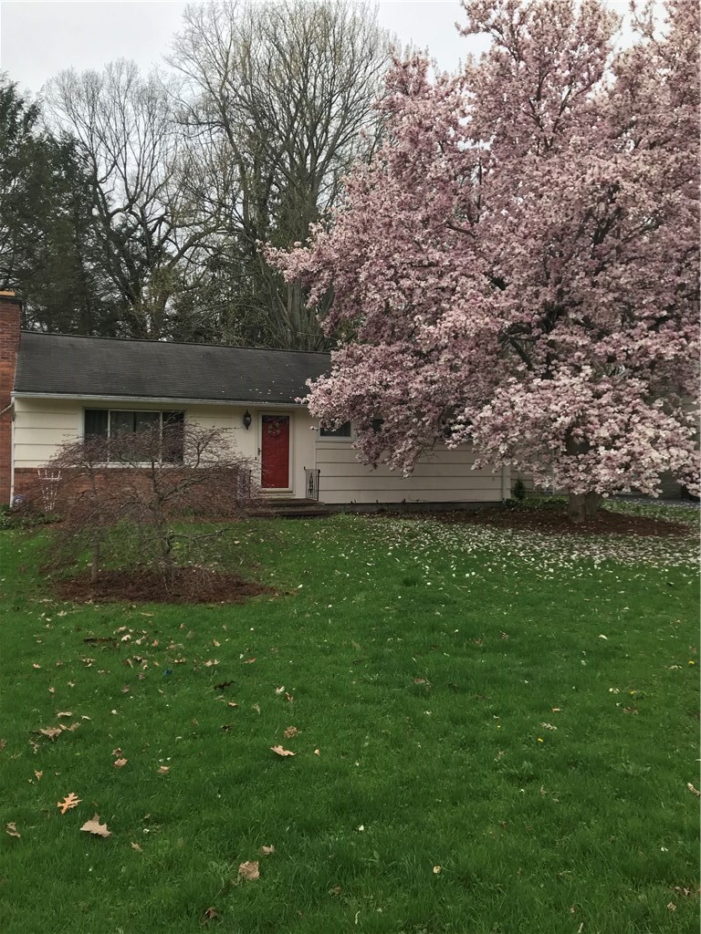 29 Landing Road South Brighton, NY 14610 - Photo 1 of 1