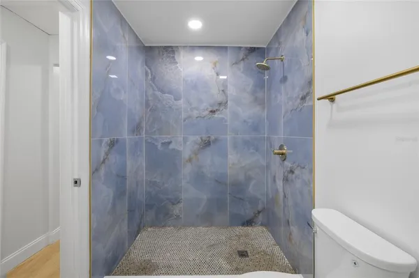 a bathroom with a shower and toilet