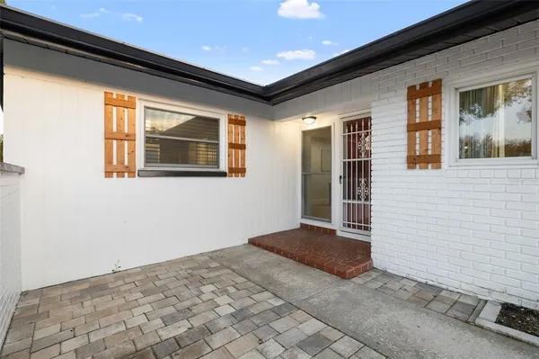 a view of backyard and window