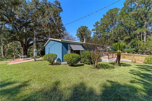 a view of a field with an tree