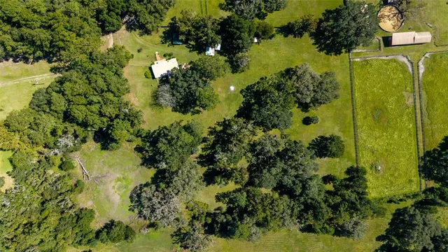 a view of backyard with a garden and plants